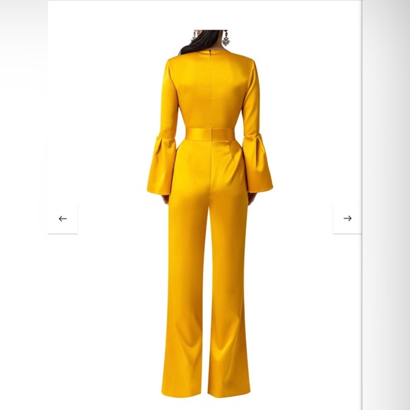 Stunning FKSP Jumpsuit - Picture 3 of 8